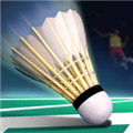 RealBadmintonWorldRacing2018