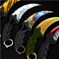 CSGO单机版