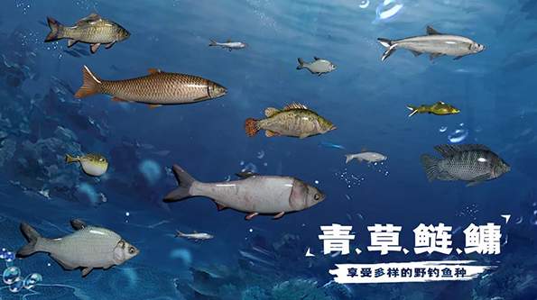天天钓鱼达人版